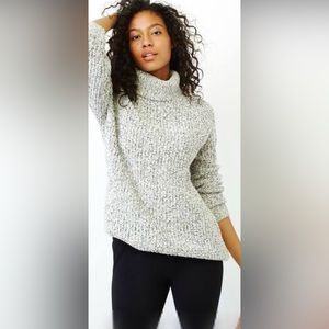 Roots long knit turtleneck sweater in Snowy Fox.